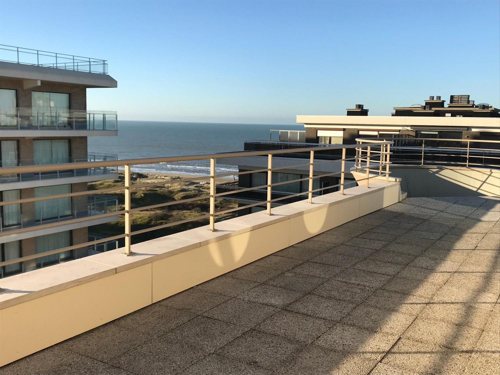 デ パンネDuplex Penthouse Super Zeezichtアパートメント エクステリア 写真